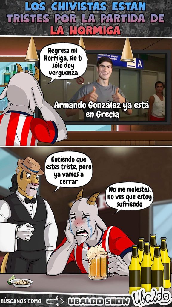 Así están todos los chivahermanos de dolidos por la partida de su super estrella... 🐜 😢