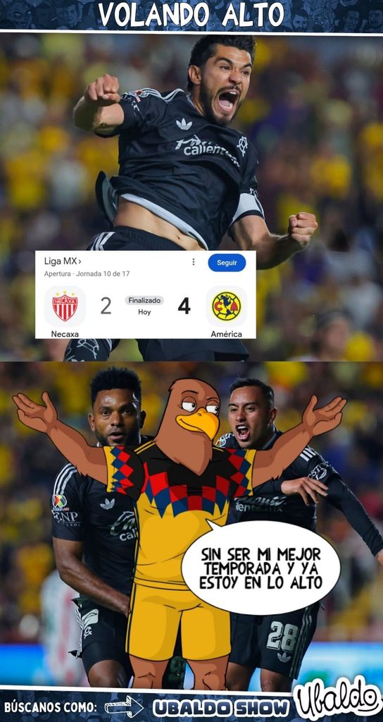 😎🦅 ¡VOLANDO ALTO EL MÁS GRANDE!