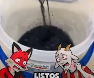 Así las cosas en el Clásico Tapatío en plena Crisis del Agua en Guadalajara 😵 ☠️