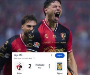 ❌🐯 ¡SE APAGA EL CICLO DORADO DE TIGRES!