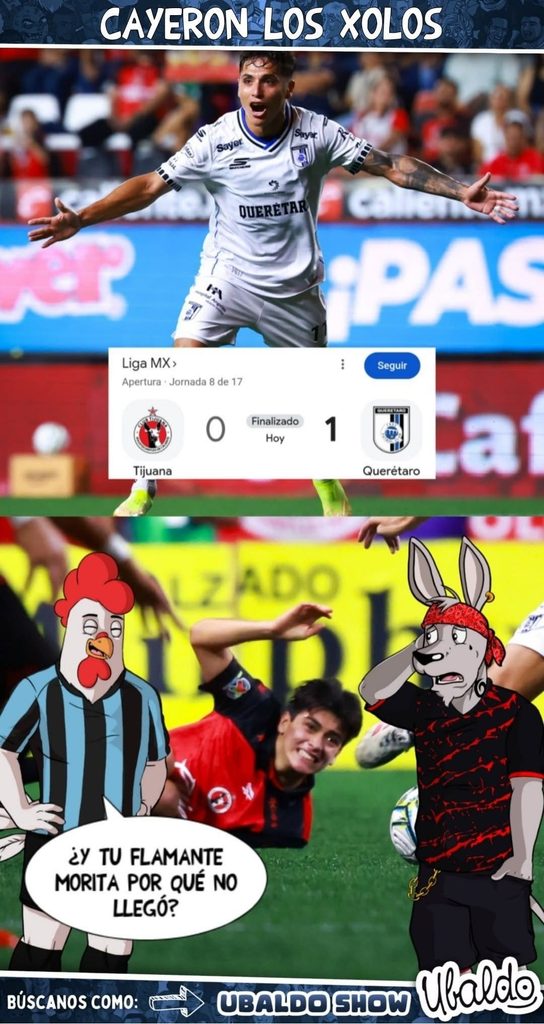 🐓😎🔥 ¡XOLOS NO PUDO CON GALLOS… ¿Y GIL MORITA APA? 😂