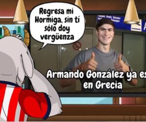 Así están todos los chivahermanos de dolidos por la partida de su super estrella… 🐜 😢