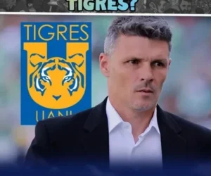 🐯🔥 ¡EL TANO ORTIZ SUENA PARA TIGRES! ¡PERO SU MALDICIÓN DE LAS SEMIFINALES Y SU PASADO RAYADO DESATAN LA POLÉMICA! 😂🏆